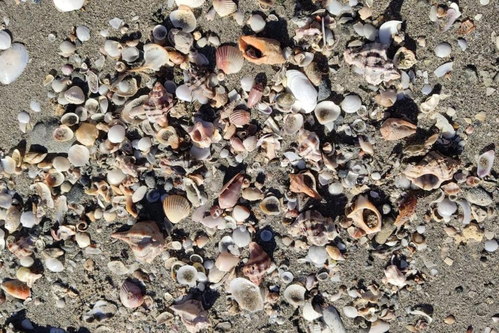 Santa Pola Con Tres Dormitorios Playa Levante Bagian luar foto